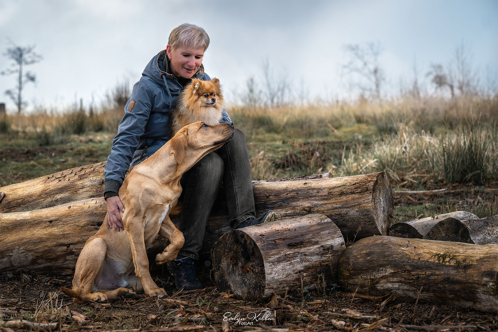 Woman in a blue jacket sits on cut logs outdoors, smiling as a golden retriever licks her face in a grassy area.