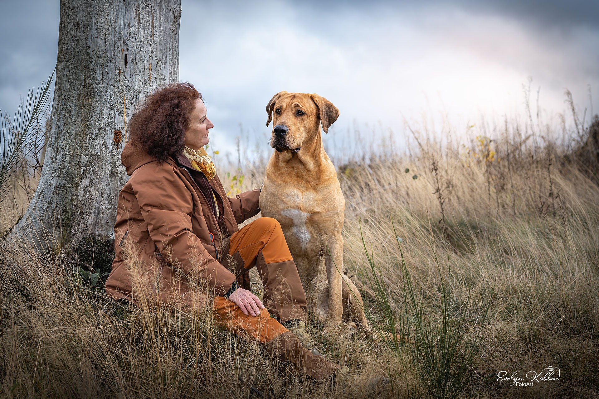Eine Frau lehnt gegen einen Baumstamm und schaut beim Hundeshooting zu ihrem großen braunen Hund