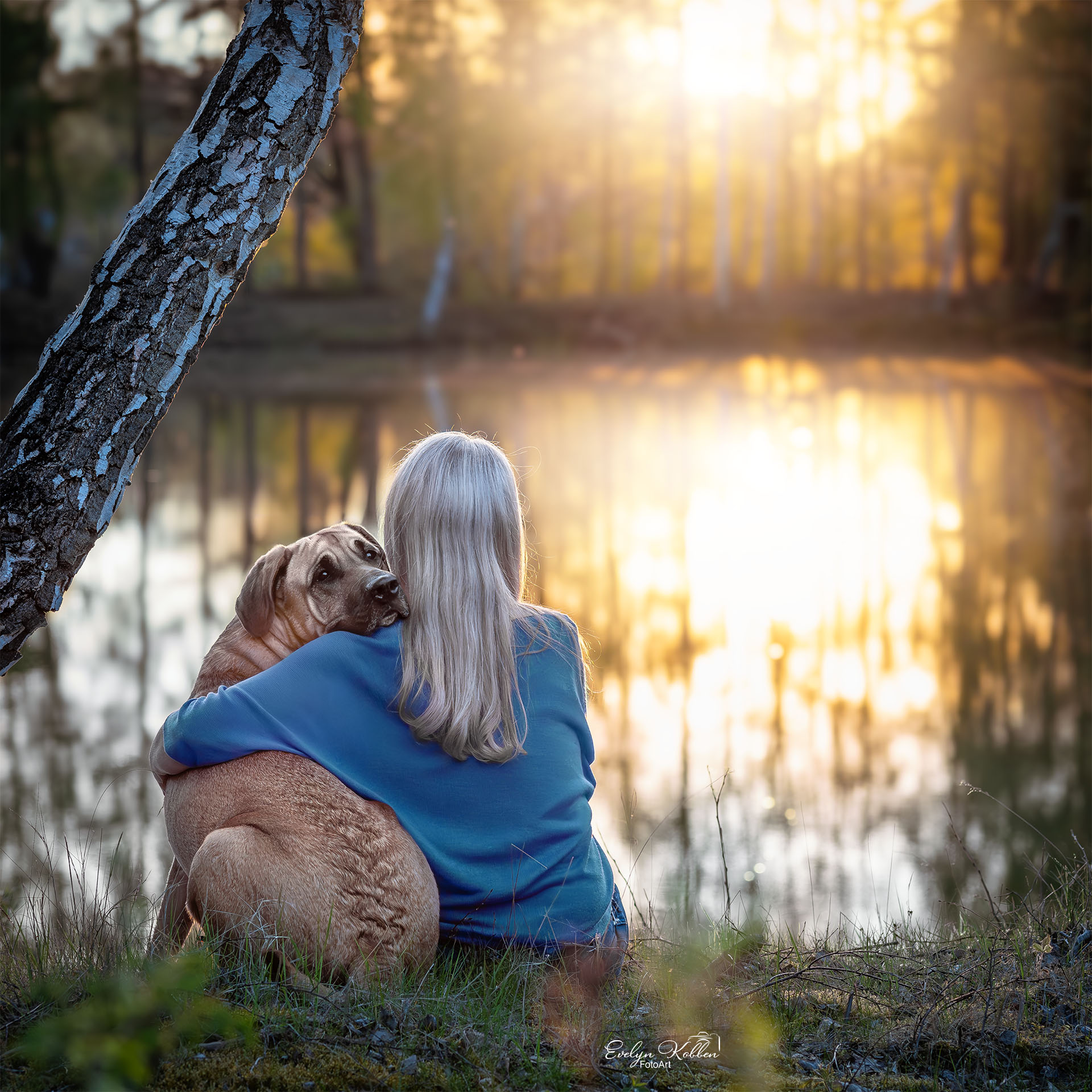 Eine blonde Frau sitzt mit ihrer Broholmerhündin an einem See, die ihren Kopf auf ihre Schulter stützt. Eine blonde Frau sitzt mit ihrer Broholmerhündin an einem See, die ihren Kopf auf ihre Schulter stützt.