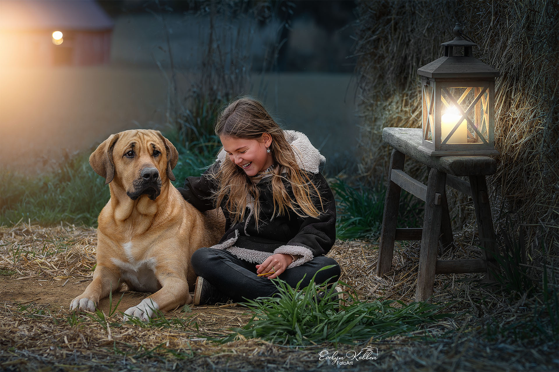 Broholmer – Hundefotografie