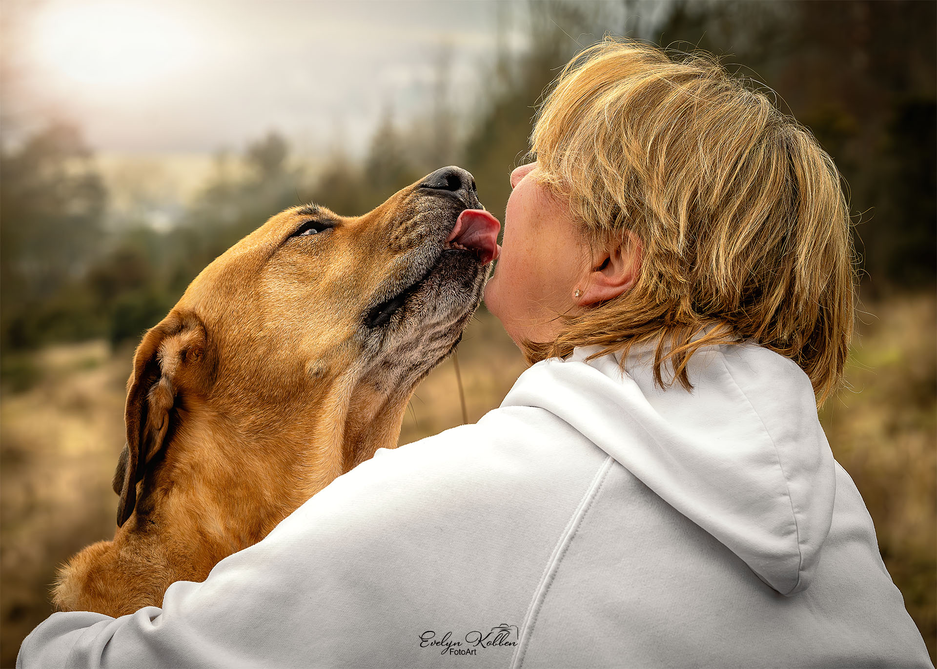 Das ist LIEBE! Ein Broholmer schleckt seiner Menschenmama durch das Gesicht