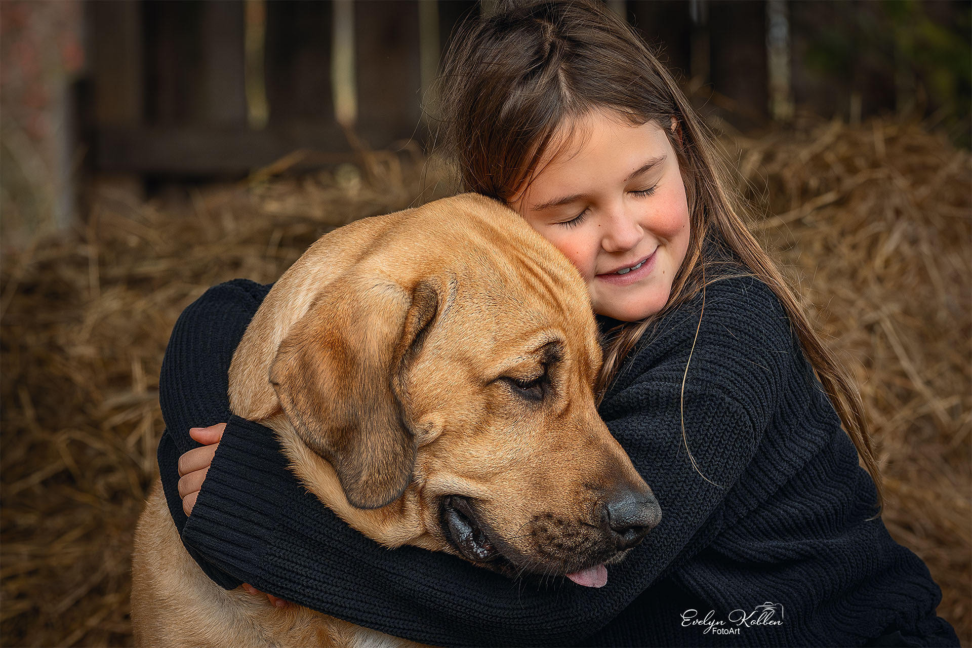 Broholmer – Hundefotografie zeigt ein Mädchen, das ihren braunen Hund umarmt