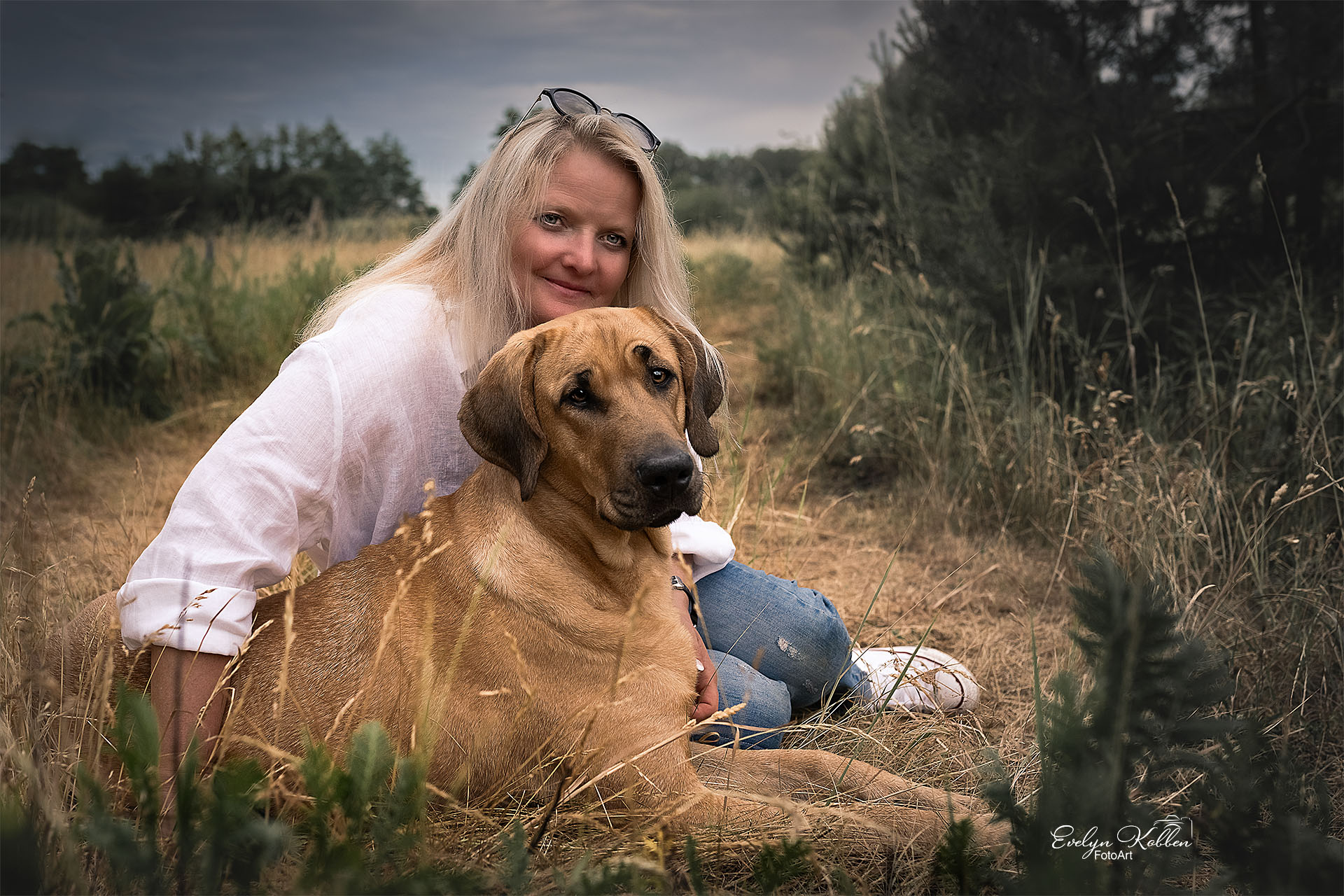 Broholmer Hund in der Natur