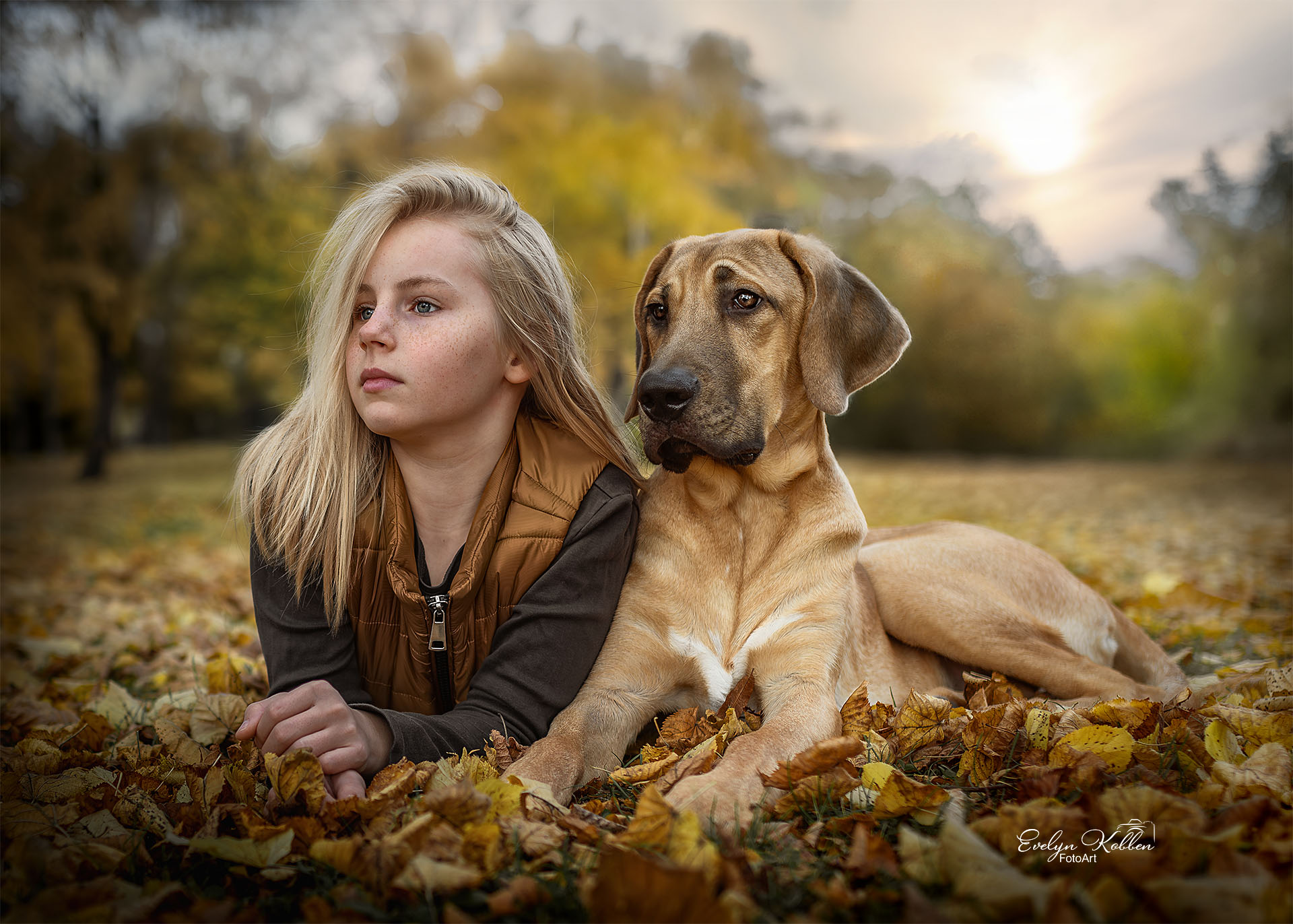 Broholmer Hund – Porträt eines Mädchens mit ihrem braunen Hund